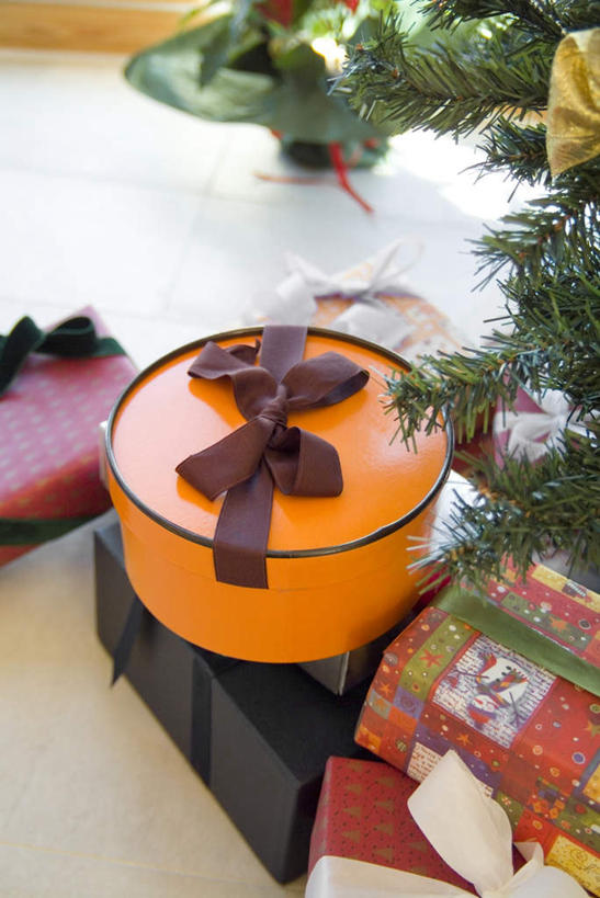 无人,竖图,俯视,室内,特写,白天,植物,礼盒,礼物,圣诞节,一堆,堆叠,堆积,节日,庆祝,包装,纸盒,圣诞树,圣诞礼物,文化,绸带,盒子,树,树木,绿色,自然,包装盒,礼品盒,庆典,礼品,生长,成长,纪念,堆,彩图,高角度拍摄