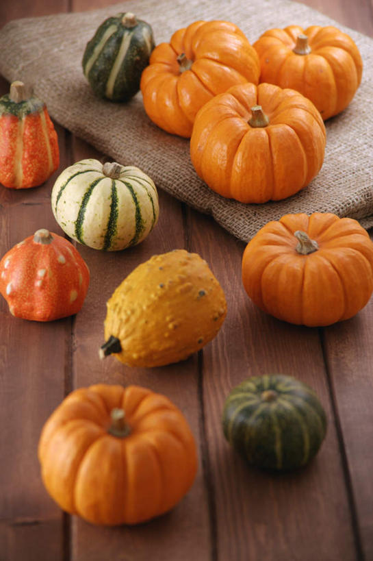 无人,竖图,俯视,室内,白天,地板,南瓜,蔬菜,许多,新鲜,散落,布,金瓜,食品,地面,木地板,番瓜,食物,黄色,橙色,有机食品,绿色食品,麦瓜,倭瓜,彩图,高角度拍摄