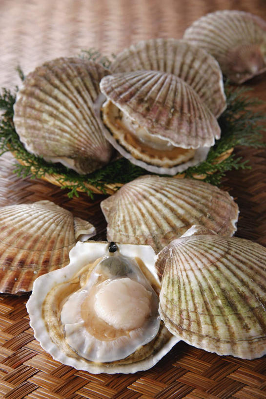 海鲜,无人,交叉,竖图,俯视,室内,特写,白天,烹饪,餐桌,桌子,竹子,一排,许多,竹制,整齐,编织,贝类,篮子,日本料理,料理,食品,水产,菜肴,美食,食物,排列,竹篮,日式料理,日式,佳肴,餐台,竹条,海草,海贝,交织,竹制品,队列,海产品,穿插,海产,彩图,高角度拍摄,全身