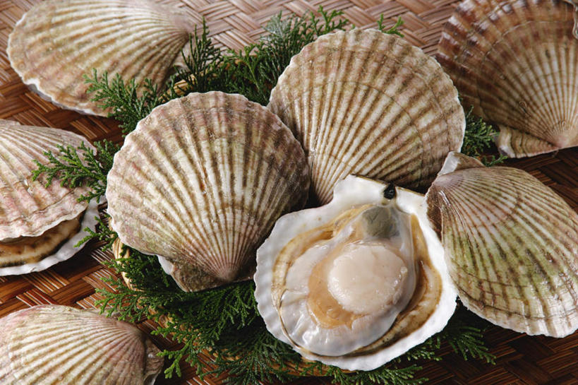 海鲜,无人,交叉,横图,俯视,室内,特写,白天,烹饪,餐桌,桌子,竹子,一排,许多,竹制,整齐,编织,贝类,篮子,日本料理,料理,食品,水产,菜肴,美食,食物,排列,竹篮,日式料理,日式,佳肴,餐台,竹条,海草,海贝,交织,竹制品,队列,海产品,穿插,海产,彩图,高角度拍摄,全身