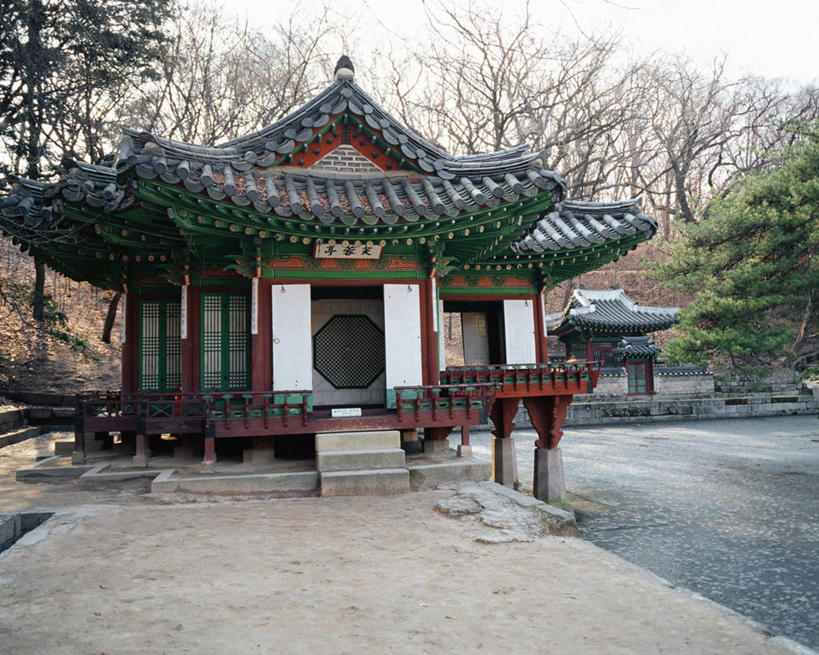 无人,宫殿,横图,室外,白天,正面,旅游,度假,名胜古迹,植物,地标,昌德宫,首尔,汉城,韩国,亚洲,遗迹,首都,古迹,文物,娱乐,古建筑,树,树木,绿色,天空,自然,天,享受,休闲,旅游胜地,放松,生长,成长,古文明,东亚,大韩民国,首尔市,首尔特别市,特别市,王宫,乐宫,东阙,彩图,标志性建筑