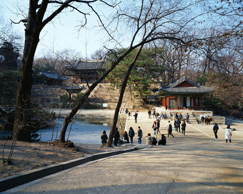 东方人,宫殿,横图,俯视,室外,白天,旅游,度假,湖,湖泊,名胜古迹,水,植物,地标,昌德宫,首尔,汉城,韩国,亚洲,遗迹,湖面,水流,水面,首都,许多人,黄种人,古迹,文物,娱乐,古建筑,树,树木,蓝色,绿色,蓝天,天空,自然,湖水,天,一群人,享受,休闲,旅游胜地,放松,生长,晴朗,成长,古文明,东亚,万里无云,大韩民国,首尔市,首尔特别市,特别市,王宫,乐宫,东阙,男人,男性,年轻男性,年轻女性,女人,女性,亚洲人,晴空,晴空万里,彩图,高角度拍摄,全身,标志性建筑