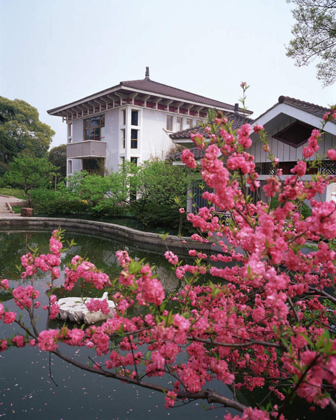 无人,竖图,室外,白天,正面,旅游,度假,石头,名胜古迹,植物,标志建筑,道路,地标,建筑,路,中国,亚洲,遗迹,盛开,石子,小路,交通,花蕾,古迹,文物,娱乐,建设,古建筑,江苏,苏州,花,花瓣,花朵,鲜花,树,树木,蓝色,绿色,蓝天,天空,自然,天,花苞,花蕊,享受,休闲,旅游胜地,放松,生长,晴朗,成长,古文明,东亚,江苏省,苏州市,拙政园,万里无云,中华人民共和国,华东地区,苏,苏州园林,中国园林之母,石块,岩石,晴空,晴空万里,玩耍,彩图