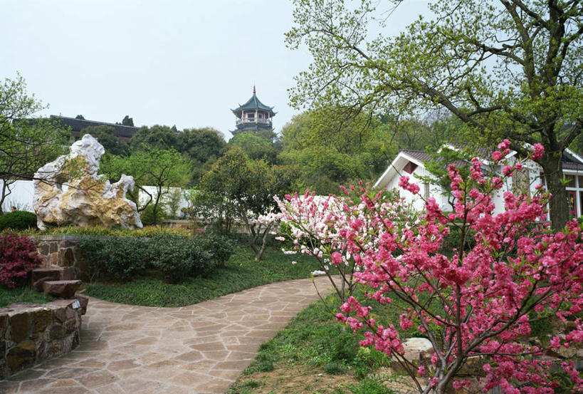 无人,横图,室外,白天,正面,旅游,度假,草地,草坪,名胜古迹,植物,标志建筑,道路,地标,建筑,路,中国,亚洲,遗迹,盛开,小路,交通,花蕾,古迹,文物,娱乐,建设,古建筑,江苏,苏州,草,花,花瓣,花朵,鲜花,树,树木,蓝色,绿色,蓝天,天空,自然,天,花苞,花蕊,享受,休闲,旅游胜地,放松,生长,晴朗,成长,古文明,东亚,江苏省,苏州市,拙政园,万里无云,中华人民共和国,华东地区,苏,苏州园林,中国园林之母,晴空,晴空万里,玩耍,彩图