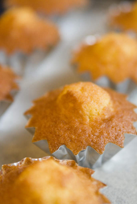 点心,无人,竖图,俯视,室内,特写,白天,下午茶,餐桌,桌子,一排,朦胧,模糊,整齐,食品,食物,糕点,排列,餐台,纸托,队列,蛋糕托,蛋糕托纸,蛋糕纸托,彩图,高角度拍摄,玛德琳蛋糕,蛋糕