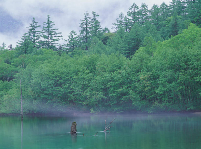 无人,横图,室外,白天,正面,旅游,度假,河流,美景,森林,树林,水,植物,长野县,日本,亚洲,阴影,反射,影子,河水,景观,水流,娱乐,树,树木,绿色,自然,享受,休闲,景色,放松,生长,成长,自然风光,东亚,本州,本州岛,日本国,中部地方,长野,上高地,彩图