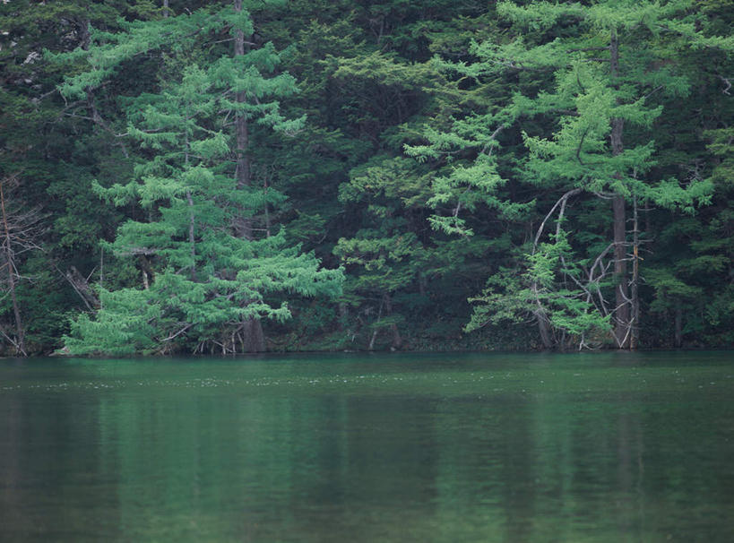 无人,横图,室外,白天,正面,旅游,度假,河流,美景,森林,树林,水,植物,长野县,日本,亚洲,波纹,河水,景观,水流,涟漪,娱乐,树,树木,绿色,倒影,水纹,自然,波浪,享受,休闲,景色,放松,生长,成长,倒映,自然风光,东亚,本州,本州岛,日本国,中部地方,水晕,长野,上高地,反照,彩图