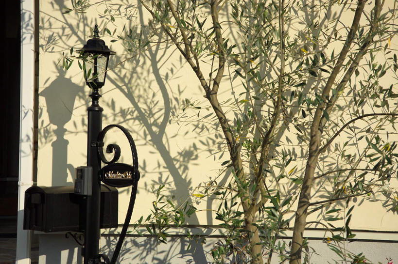 无人,家,横图,室外,白天,正面,太阳,植物,别墅,家具,门,建筑,路灯,照明,欧式,阴影,装饰,光线,影子,房屋,屋子,公寓,门口,灯光,豪华,建设,现代,洋房,楼房,住宅,灯,树,树木,绿色,阳光,自然,门框,雕花,生长,成长,灌木,明亮,照亮,舒适,照明设备,地中海风格,古典风格,简约风格,宽敞,彩图,房子