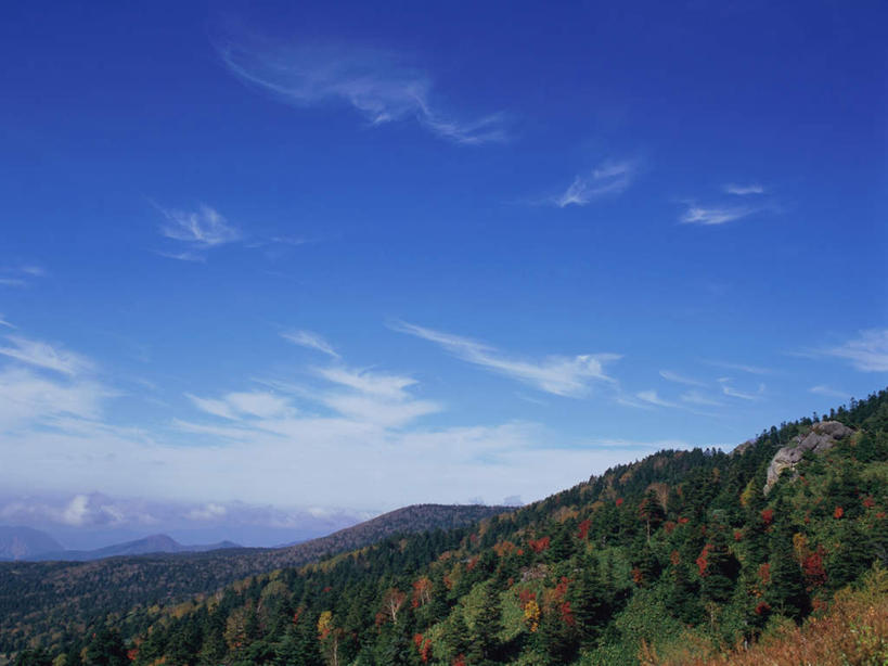 无人,横图,室外,白天,正面,旅游,度假,美景,山,山脉,树林,植物,长野县,日本,亚洲,景观,山峰,云,云朵,山峦,云彩,娱乐,树,树木,蓝色,绿色,白云,蓝天,天空,自然,群山,天,享受,休闲,景色,放松,白桦,生长,晴朗,成长,自然风光,东亚,本州,本州岛,日本国,中部地方,长野,志贺高原,晴空,桦树,桦皮树,桦木,彩图