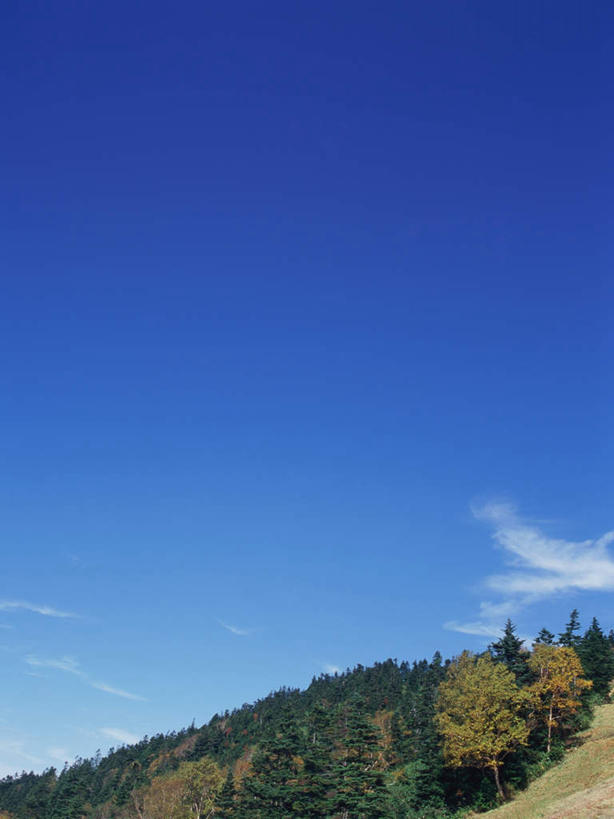 无人,竖图,室外,白天,正面,旅游,度假,美景,山,山脉,树林,植物,长野县,日本,亚洲,景观,山峰,云,云朵,山峦,云彩,娱乐,树,树木,蓝色,绿色,白云,蓝天,天空,自然,群山,天,享受,休闲,景色,放松,白桦,生长,晴朗,成长,自然风光,东亚,本州,本州岛,日本国,中部地方,长野,志贺高原,晴空,桦树,桦皮树,桦木,彩图