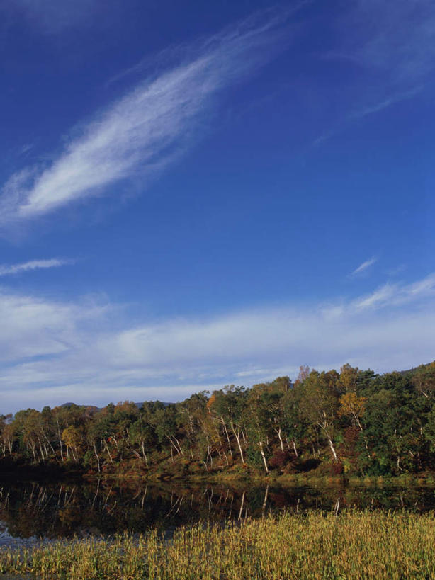 无人,竖图,室外,白天,正面,旅游,度假,草地,草坪,湖,湖泊,美景,森林,树林,水,植物,长野县,日本,亚洲,波纹,湖面,景观,水流,水面,云,云朵,涟漪,云彩,娱乐,草,树,树木,蓝色,绿色,白云,倒影,蓝天,水纹,天空,自然,波浪,湖水,天,享受,休闲,景色,放松,生长,晴朗,成长,倒映,自然风光,东亚,本州,本州岛,日本国,中部地方,水晕,长野,志贺高原,反照,晴空,彩图