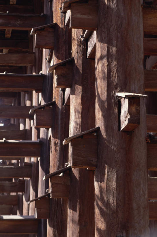 无人,寺庙,竖图,室外,白天,正面,旅游,度假,名胜古迹,标志建筑,地标,建筑,京都,日本,亚洲,阴影,节日,遗迹,光线,影子,柱子,房梁,建筑群,古迹,文化,文物,娱乐,建设,古建筑,阳光,庙宇,祈祷,享受,休闲,健康,门柱,旅游胜地,放松,许愿,宗教,佛教,信仰,京都府,纪念,祈求,古文明,东亚,本州,本州岛,日本国,近畿地方,清水寺,近畿,释教,平安,彩图,庙,寺,标志性建筑