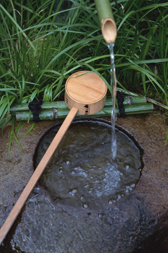 无人,竖图,俯视,室外,白天,草地,草坪,石头,水,植物,竹子,波纹,透明,石子,液体,竹筒,气泡,水滴,青苔,苔藓,涟漪,漩涡,水泡,水珠,草,绿色,水纹,泡泡,石块,岩石,竹,彩图,高角度拍摄