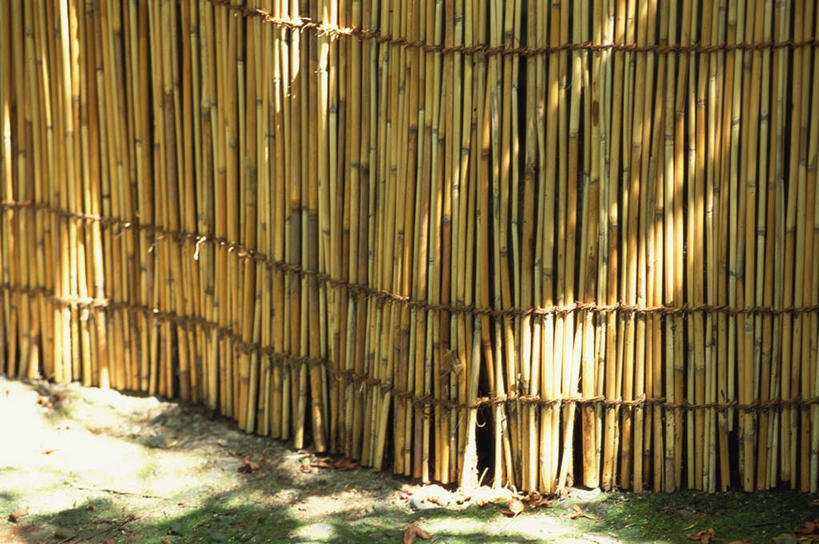 无人,横图,室外,白天,正面,纯洁,道路,路,竹子,日本,亚洲,阴影,装饰,光线,影子,竹帘,树影,小路,交通,石路,阳光,帘子,绳子,遮阳,绳索,华丽,修饰,点缀,高雅,东亚,日本国,衬托,美观,雅致,雅观,奉献,质朴,正直,担当,竹,彩图,奋进,操守,四君子,岁寒三友,性坚,虚怀,虚心,善群,卓尔