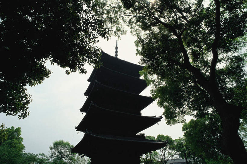 无人,家,寺庙,横图,室外,白天,仰视,旅游,度假,名胜古迹,树林,植物,家具,标志建筑,地标,建筑,京都,日本,亚洲,节日,遗迹,装饰,瓦片,房屋,屋檐,屋子,塔,古迹,文化,文物,娱乐,建设,古建筑,宝塔,楼房,檐,住宅,树,树木,绿色,蓝天,天空,自然,庙宇,天,祈祷,享受,休闲,健康,旅游胜地,放松,许愿,宗教,佛教,信仰,京都府,生长,成长,纪念,祈求,明亮,舒适,宽敞,古文明,东亚,本州,本州岛,日本国,近畿地方,近畿,释教,东寺,教王护国寺,平安,彩图,低角度拍摄,房子,庙,寺