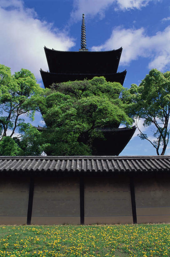 无人,家,寺庙,竖图,室外,白天,仰视,旅游,度假,草地,草坪,名胜古迹,树林,植物,家具,标志建筑,地标,建筑,京都,日本,亚洲,节日,遗迹,装饰,瓦片,房屋,墙,屋檐,屋子,围墙,塔,古迹,文化,文物,娱乐,建设,古建筑,宝塔,楼房,檐,墙壁,墙面,住宅,草,树,树木,绿色,蓝天,天空,自然,庙宇,天,祈祷,享受,休闲,健康,旅游胜地,放松,许愿,宗教,佛教,信仰,京都府,生长,成长,纪念,祈求,明亮,舒适,宽敞,古文明,东亚,本州,本州岛,日本国,近畿地方,近畿,释教,东寺,教王护国寺,平安,彩图,低角度拍摄,房子,庙,寺