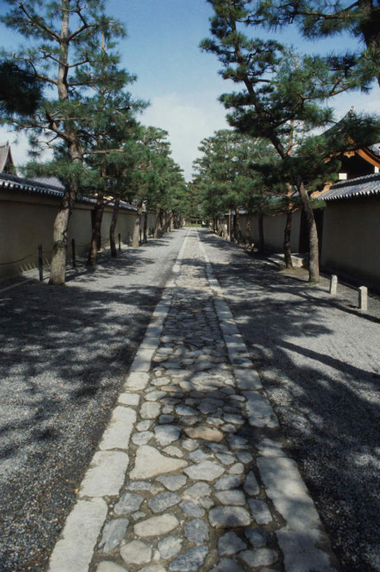 无人,家,寺庙,竖图,室外,白天,正面,旅游,度假,石头,名胜古迹,树林,植物,家具,标志建筑,道路,地标,建筑,路,公路,京都,日本,亚洲,阴影,节日,遗迹,装饰,光线,石子,瓦片,影子,房屋,墙,屋檐,屋子,围墙,小道,小路,走廊,塔,过道,交通,古迹,文化,文物,娱乐,建设,石子路,古建筑,宝塔,楼房,檐,墙壁,墙面,石板路,住宅,树,树木,绿色,蓝天,天空,阳光,自然,庙宇,天,祈祷,享受,休闲,健康,旅游胜地,放松,许愿,宗教,佛教,信仰,京都府,生长,成长,纪念,祈求,明亮,舒适,宽敞,古文明,东亚,本州,本州岛,日本国,近畿地方,近畿,释教,东寺,教王护国寺,平安,石块,马路,彩图,房子,庙,寺