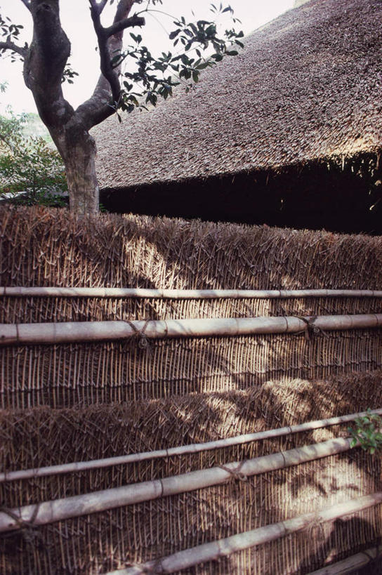 无人,木屋,栏杆,竖图,室外,白天,正面,旅游,度假,美景,植物,竹子,京都,日本,亚洲,阴影,光线,瓦片,影子,栅栏,屋顶,屋檐,景观,篱笆,围栏,顶棚,娱乐,护栏,檐,树,树木,绿色,阳光,自然,享受,休闲,景色,放松,京都府,生长,成长,自然风光,东亚,本州,本州岛,日本国,近畿地方,近畿,嵯峨野,岚山,落柿舎,彩图,茅舍,茅屋,棚屋,小木屋,小屋