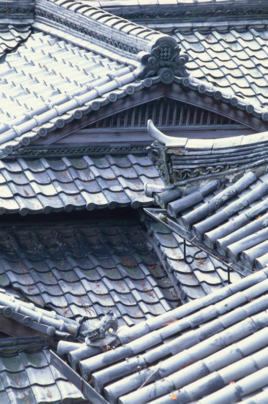 无人,寺庙,竖图,俯视,室外,白天,旅游,度假,名胜古迹,地标,东京,日本,亚洲,节日,遗迹,重叠,密集,瓦片,屋顶,屋檐,顶棚,古迹,文化,文物,娱乐,古建筑,檐,庙宇,祈祷,享受,休闲,健康,旅游胜地,叠加,放松,许愿,宗教,佛教,信仰,纪念,祈求,古文明,东亚,本州,关东地方,本州岛,日本国,东京都,释教,吉祥寺,平安,彩图,高角度拍摄,庙,寺,文京区,标志性建筑