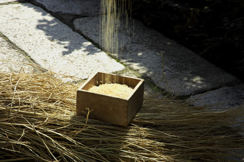 无人,横图,俯视,室外,特写,白天,农作物,石头,许多,阴影,光线,方形,木盒,石子,影子,白米,稻草,稻穗,麦穗,地面,米,大米,盒子,一个,阳光,收获,单个,下降,降落,获得,降低,下跌,下落,石块,彩图,高角度拍摄