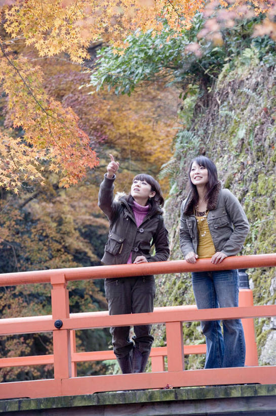 东方人,两个人,伙伴,朋友,寺庙,栏杆,站,竖图,室外,白天,仰视,旅游,度假,友谊,名胜古迹,植物,标志建筑,地标,建筑,京都,日本,亚洲,指,服装,节日,遗迹,围栏,燃烧,注视,休闲装,黄种人,方向,古迹,文化,文物,娱乐,建设,古建筑,护栏,树,树木,衣服,绿色,自然,香火,庙宇,观察,看,祈祷,手势,站着,享受,休闲,健康,休闲服,旅游胜地,放松,许愿,宗教,服饰,信仰,京都府,生长,成长,观看,纪念,祈求,察看,指向,关注,古文明,东亚,本州,本州岛,日本国,近畿地方,近畿,三千院,左京区,平安,友情,年轻女性,女人,女性,亚洲人,站立,彩图,低角度拍摄,全身,庙,寺