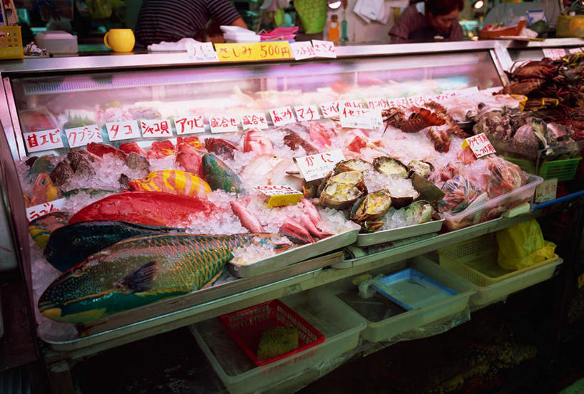 海鲜,无人,商店,横图,室内,白天,正面,日本,亚洲,一排,阴影,整齐,光线,鱼,影子,冰,冰块,市场,冲绳,那霸,冷冻,水产,排列,寒冷,冷藏,冲绳县,冰冷,队列,海产品,东亚,琉球群岛,日本国,九州地方,县厅,保鲜,那霸市,彩图