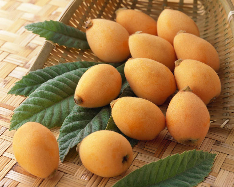 无人,交叉,横图,俯视,室内,特写,白天,桌面,桌子,枇杷,竹子,水果,叶子,阴影,竹制,新鲜,编织,光线,木制,篮子,影子,生食,食品,果实,绿叶,食物,木制品,容器,竹篮,日式,嫩叶,有机食品,绿色食品,竹条,交织,竹制品,穿插,叶,叶片,芦枝,芦橘,金丸,彩图,高角度拍摄