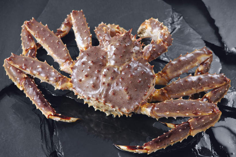 海鲜,无人,横图,俯视,室内,特写,白天,桌面,桌子,阴影,黑色背景,光线,影子,大理石,帝王蟹,水产,海洋生物,一个,摄影,影棚,单个,水生动物,海产品,水生物,海底动物,皇帝蟹,大理石制品,彩图,高角度拍摄,影棚拍摄,拍摄