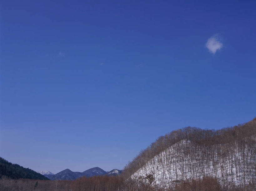 无人,横图,室外,白天,正面,旅游,度假,石头,美景,森林,山,树林,雪,雪山,植物,大雪,长野县,日本,亚洲,阴影,光线,石子,影子,冰,积雪,景观,山顶,山峰,雪景,云,云朵,冬季,冬天,山峦,云彩,娱乐,树,树木,蓝色,绿色,白云,蓝天,天空,阳光,自然,天,享受,休闲,景色,放松,寒冷,生长,晴朗,成长,冰冷,自然风光,东亚,沉积岩,本州,本州岛,日本国,中部地方,长野,严寒,冰凉,酷寒,凛冽,凛凛,极冷,颠峰,极峰,水成岩,蓼科山,石块,岩石,晴空,彩图