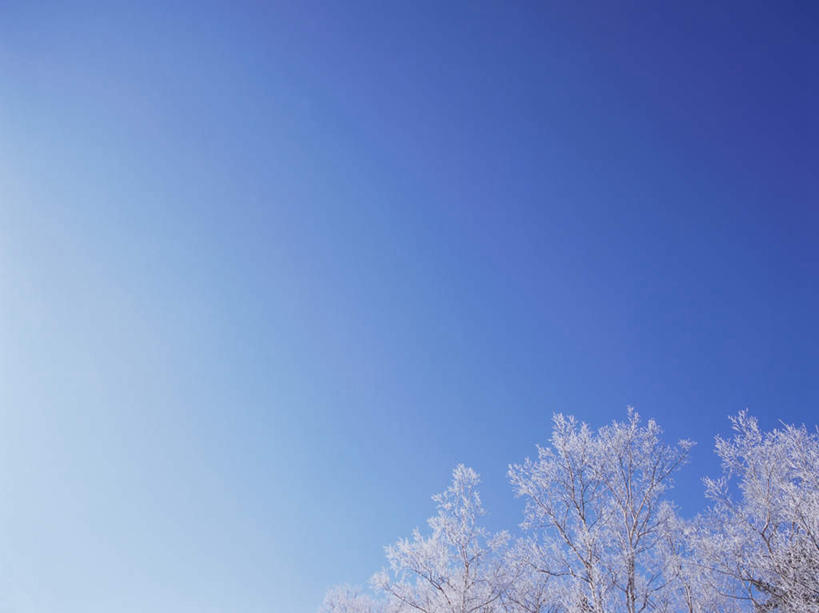 无人,横图,室外,白天,仰视,旅游,度假,美景,雪,植物,大雪,北海道,日本,亚洲,阴影,光线,影子,冰,积雪,景观,雪景,冬季,冬天,娱乐,树,树木,蓝色,绿色,蓝天,天空,阳光,自然,天,享受,休闲,景色,放松,寒冷,生长,晴朗,成长,冰冷,自然风光,雾凇,东亚,万里无云,日本国,北海道地方,北海道岛,严寒,冰凉,酷寒,凛冽,凛凛,极冷,树挂,晴空,晴空万里,彩图,低角度拍摄