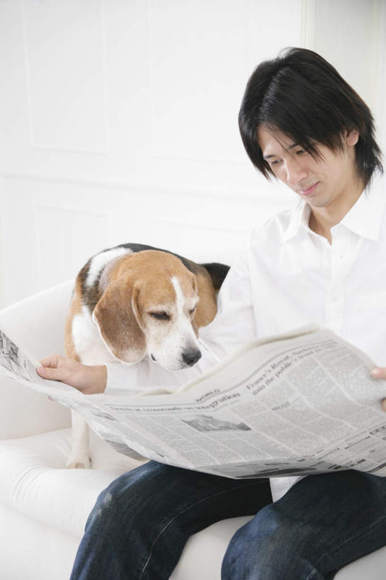 东方人,一个人,坐,竖图,室内,白天,正面,阅读,宠物,狗,报纸,亚洲,仅一个男性,仅一个人,学习,阴影,服装,光线,影子,猎兔犬,拿,拿着,注视,休闲装,黄种人,仅一个年轻男性,一只,衣服,动物,观察,看,休闲,休闲服,可爱,浏览,服饰,比格犬,观看,察看,关注,忠诚,米格鲁猎兔犬,贝高狗,贝高犬,比格狗,猎兔狗,男人,男性,年轻男性,亚洲人,犬,坐着,半身,彩图