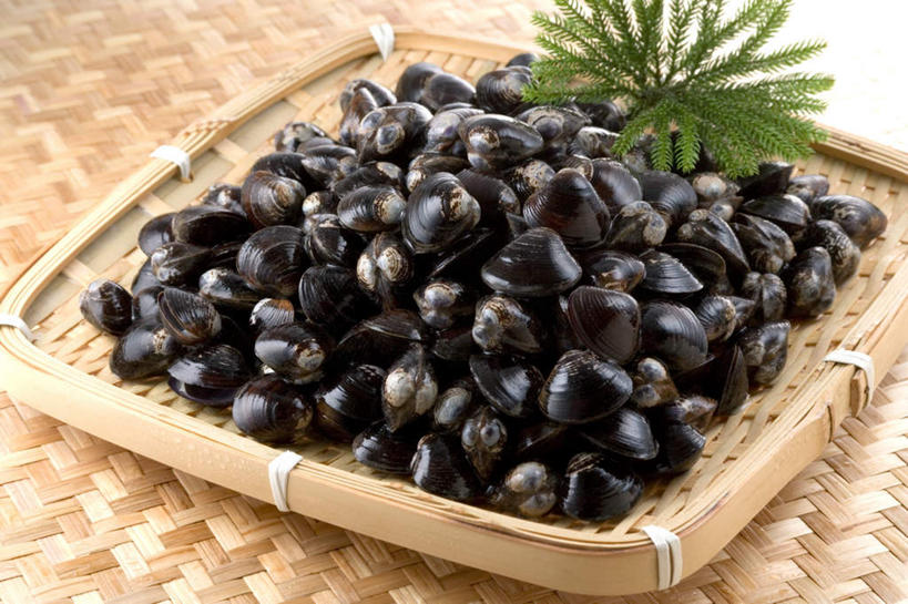 海鲜,无人,交叉,横图,俯视,室内,特写,白天,烹饪,桌面,桌子,竹子,贝壳,一堆,阴影,堆叠,堆积,竹制,编织,光线,木制,篮子,影子,日本料理,料理,食品,水产,菜肴,美食,食物,木制品,竹篮,日式料理,日式,佳肴,竹条,堆,交织,竹制品,海产品,蚌,穿插,巨蚌,巨蛤,贝类外壳,软体动物外壳,彩图,高角度拍摄