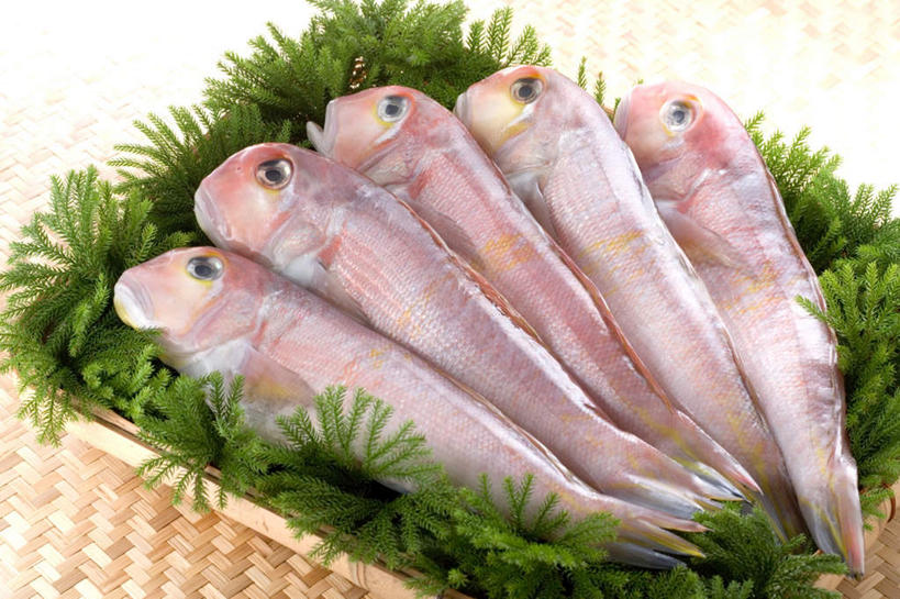 海鲜,无人,交叉,横图,俯视,室内,特写,白天,烹饪,植物,桌面,桌子,竹子,叶子,一排,阴影,竹制,整齐,编织,光线,木制,篮子,影子,日本料理,料理,食品,水产,菜肴,美食,食物,排列,绿色,木制品,竹篮,日式料理,日式,佳肴,竹条,交织,竹制品,队列,海产品,白方头鱼,方头鱼,甘鲷,红马头,马头鱼,银方头鱼,穿插,彩图,高角度拍摄