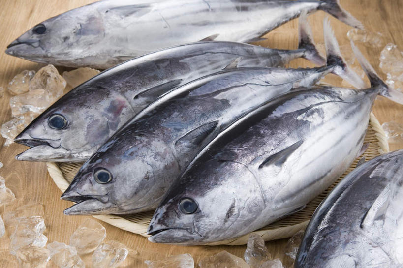 海鲜,无人,交叉,横图,俯视,室内,特写,白天,烹饪,桌面,桌子,竹子,阴影,竹制,编织,光线,木制,鱼,篮子,影子,冰,日本料理,冰块,食品,鲣鱼,鲔鱼,冷冻,水产,金枪鱼,菜肴,美食,鱼类,海洋生物,食物,木制品,竹篮,日式料理,寒冷,佳肴,冷藏,竹条,交织,吞拿鱼,冰冷,竹制品,水生动物,海产品,水生物,海底动物,小金枪鱼,炸弹鱼,保鲜,穿插,彩图,高角度拍摄