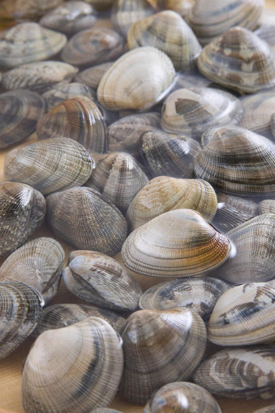 海鲜,无人,竖图,俯视,室内,特写,白天,烹饪,桌面,桌子,贝壳,许多,阴影,光线,木制,影子,日本料理,食品,水产,菜肴,美食,食物,木制品,日式料理,佳肴,海产品,蚌,巨蚌,巨蛤,贝类外壳,软体动物外壳,彩图,高角度拍摄