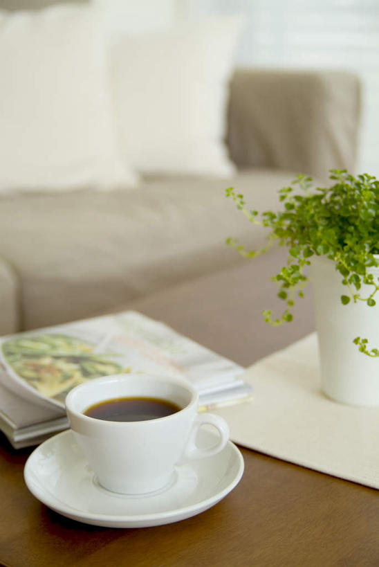 咖啡,无人,家,竖图,室内,特写,白天,正面,幸福,植物,别墅,家具,卧室,装修,建筑,杯子,餐具,欧式,阴影,装饰,光线,瓷器,碟子,盘,盆栽,影子,房屋,屋子,公寓,咖啡杯,盆景,陶瓷制品,豪华,娱乐,建设,现代,装潢,洋房,楼房,住宅,饮料,绿色,自然,盘子,碟,室内装潢,享受,休闲,温馨,放松,乐趣,生长,成长,样板房,明亮,提神,舒适,家居装潢,瓷杯,醒脑,房屋设计,地中海风格,古典风格,简约风格,室内设计,宽敞,样板房装潢,软饮料,设计,彩图,房子,睡房,卧房