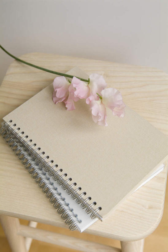 无人,竖图,俯视,室内,白天,椅子,阴影,盛开,光线,影子,香豌豆,记事本,花蕾,花,花瓣,花朵,鲜花,粉色,本子,笔记本,花苞,花蕊,吧椅,豌豆花,腐香豌豆,花豌豆,吧台椅,酒吧椅,彩图,高角度拍摄