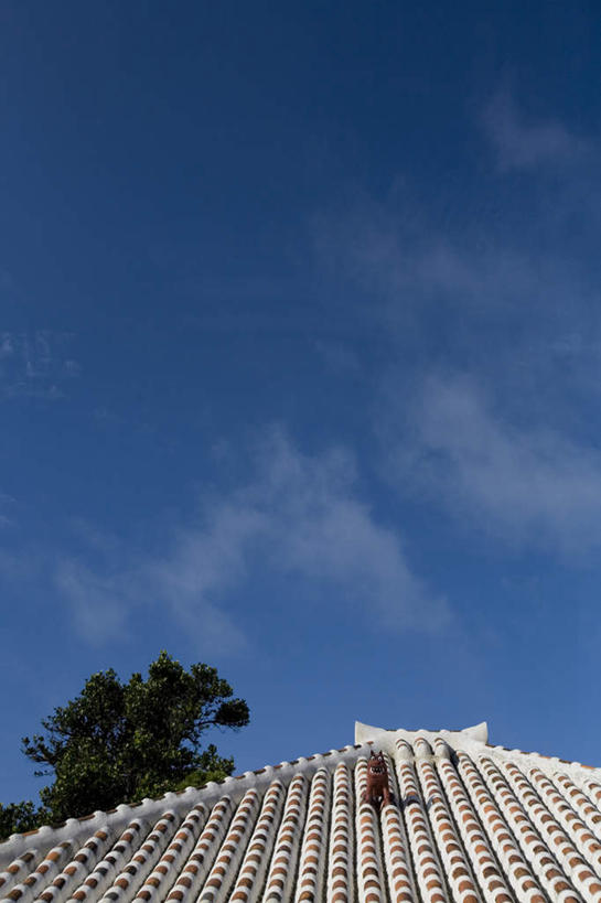 无人,家,竖图,室外,白天,仰视,旅游,度假,哺乳动物,野生动物,狮子,雕塑,日本,亚洲,艺术,装饰,雕刻,雕像,瓦片,房屋,屋檐,屋子,云,云朵,云彩,娱乐,冲绳,楼房,檐,住宅,白云,天空,动物,工艺品,天,享受,休闲,放松,纪念,美术,冲绳县,主题,凶猛,陈列,东亚,琉球群岛,竹富岛,日本国,九州地方,功能,美学,八重山群岛,残暴,凶残,彩图,低角度拍摄,房子