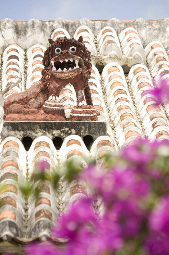 无人,家,竖图,室外,白天,正面,旅游,度假,哺乳动物,野生动物,狮子,雕塑,日本,亚洲,艺术,装饰,盛开,雕刻,雕像,瓦片,房屋,屋檐,屋子,云,云朵,花蕾,云彩,娱乐,冲绳,楼房,檐,住宅,花,花瓣,花朵,鲜花,白云,天空,动物,工艺品,天,花苞,花蕊,享受,休闲,放松,纪念,美术,冲绳县,主题,凶猛,陈列,东亚,琉球群岛,竹富岛,日本国,九州地方,功能,美学,八重山群岛,残暴,凶残,彩图,房子