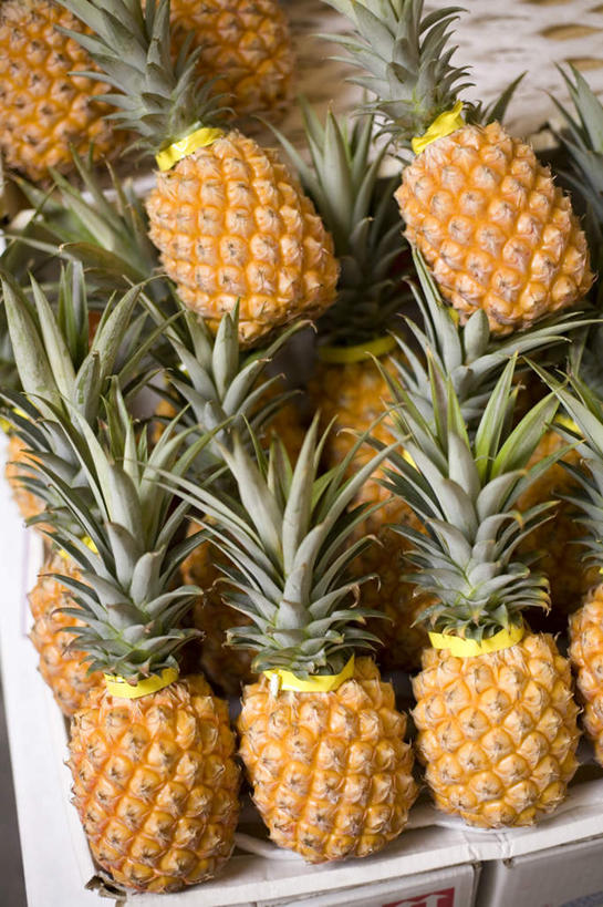 无人,竖图,俯视,室内,特写,白天,菠萝,水果,日本,亚洲,一排,阴影,新鲜,整齐,光线,影子,生食,食品,果实,冲绳,食物,排列,有机食品,绿色食品,冲绳县,队列,东亚,琉球群岛,日本国,九州地方,凤梨,彩图,高角度拍摄