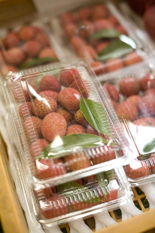 无人,竖图,俯视,室内,特写,白天,荔枝,水果,日本,亚洲,一堆,阴影,堆叠,堆积,新鲜,光线,影子,塑料,生食,食品,果实,冲绳,盒子,食物,容器,塑料制品,有机食品,绿色食品,储藏,堆,冲绳县,储存,东亚,琉球群岛,日本国,九州地方,离枝,彩图,高角度拍摄,贮存