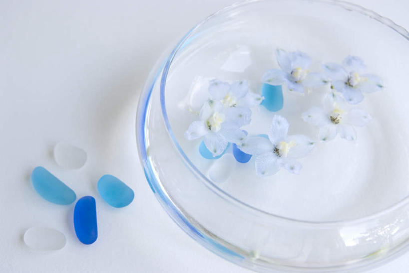 无人,横图,俯视,室内,特写,白天,白色背景,实验,仪器,水,植物,静物,阴影,研究,盛开,分析,光线,化学,测试,培养皿,液体,影子,珠子,水滴,花蕾,花,花瓣,花朵,鲜花,蓝色,绿色,白色,自然,花苞,花蕊,器皿,生物,摄影,影棚,生长,成长,萝小花,试验耗材,实验用品,化学器材,翠雀,大花飞燕草,飞燕草,彩图,高角度拍摄,影棚拍摄,拍摄