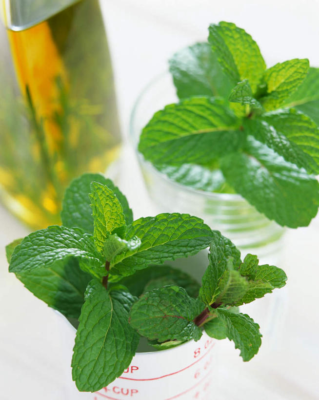 无人,竖图,俯视,室内,特写,白天,蔬菜,杯子,玻璃,阴影,新鲜,透明,光线,影子,生食,薄荷,食品,银丹草,量杯,玻璃制品,食物,绿色,玻璃瓶,瓶子,摄影,有机食品,绿色食品,影棚,斑叶凤梨薄荷,苹果薄荷,夜息香,玻璃杯,彩图,高角度拍摄,影棚拍摄,拍摄