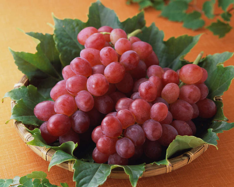 无人,横图,俯视,室内,特写,白天,葡萄,水果,叶子,阴影,新鲜,光线,影子,生食,食品,果实,绿叶,餐盘,食物,紫色,盘子,嫩叶,摄影,有机食品,绿色食品,影棚,葡萄藤,叶,叶片,山葫芦,蒲桃,草龙珠,彩图,高角度拍摄,影棚拍摄,拍摄