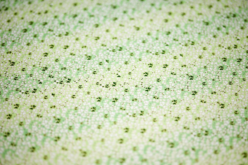 横图,室内,特写,白天,正面,阴影,艺术,光线,影子,折纸,纸艺,手工艺品,文化,绿色,白色,纸制品,工艺品,摄影,影棚,碎花,高雅,工艺折纸,自信心,品位,半身,彩图,影棚拍摄,拍摄