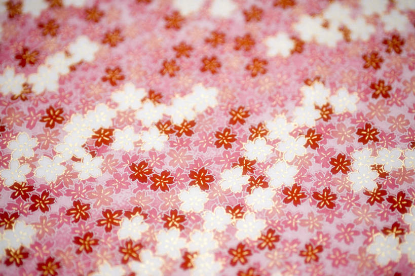 横图,室内,特写,白天,正面,阴影,艺术,光线,影子,折纸,纸艺,手工艺品,文化,花朵,红色,白色,纸制品,工艺品,摄影,影棚,碎花,高雅,工艺折纸,自信心,品位,半身,彩图,影棚拍摄,拍摄