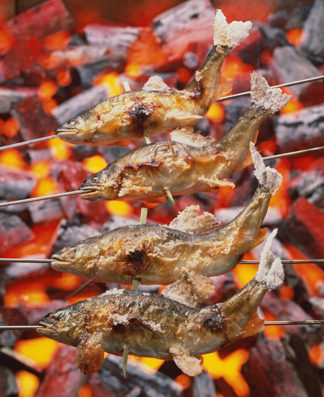 海鲜,无人,竖图,俯视,室内,特写,白天,烹饪,烧烤,煤炭,餐桌,桌面,桌子,阴影,光线,木制,鱼,影子,料理,食品,烤架,烤肉,鲭鱼,炭,水产,菜肴,美食,鱼类,海洋生物,食物,木制品,日式,铁架,佳肴,餐台,花池鱼,花鲱,花鳀,青花鱼,鲐鲅鱼,油胴鱼,水生动物,海产品,煤,水生物,海底动物,彩图,高角度拍摄