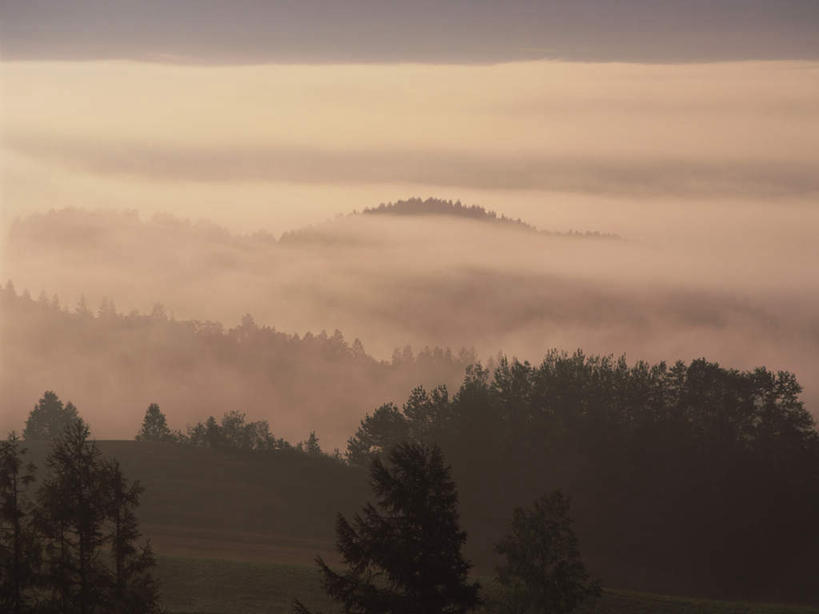 无人,横图,室外,白天,正面,旅游,度假,石头,美景,森林,山,山脉,树林,植物,雾,北海道,日本,亚洲,阴影,朦胧,模糊,光线,石子,影子,景观,山顶,山峰,山峦,娱乐,树,树木,绿色,阳光,自然,群山,享受,休闲,景色,放松,生长,成长,迷雾,自然风光,东亚,沉积岩,日本国,北海道地方,北海道岛,富良野,道北,富良野市,颠峰,极峰,水成岩,石块,岩石,大雾,彩图,上川支厅
