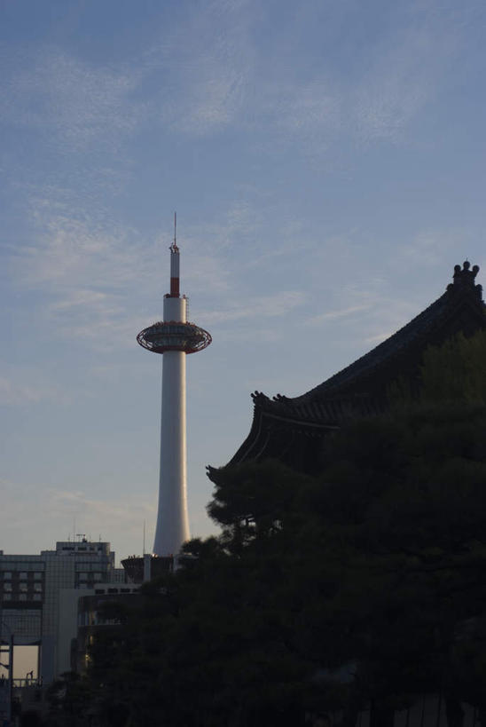 无人,家,寺庙,竖图,室外,白天,仰视,度假,美景,城市风光,城市,建筑,京都,日本,亚洲,阴影,节日,光线,影子,房屋,屋子,景观,云,云朵,塔,云彩,文化,娱乐,楼房,住宅,蓝色,白云,蓝天,天空,阳光,庙宇,天,祈祷,享受,休闲,健康,景色,放松,许愿,宗教,佛教,信仰,京都府,晴朗,纪念,祈求,修建,东亚,本州,本州岛,日本国,近畿地方,近畿,修筑,京都塔,释教,平安,晴空,彩图,低角度拍摄,房子,庙,寺