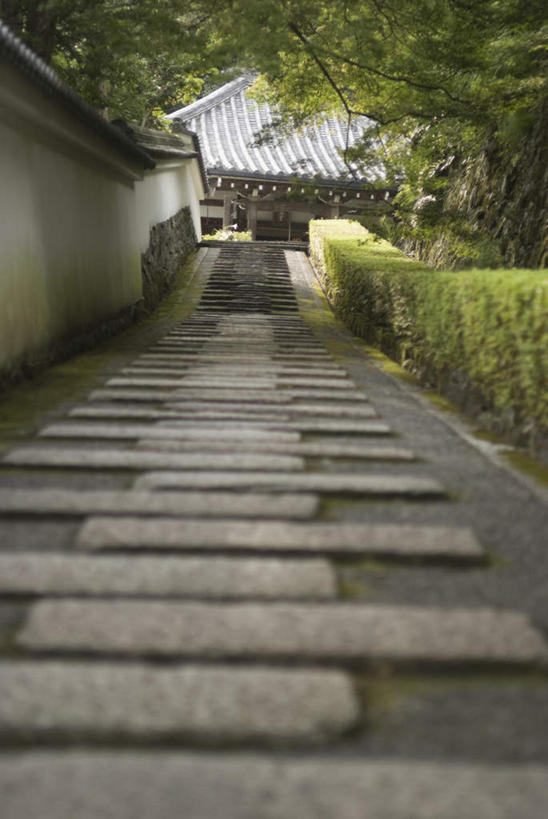 无人,寺庙,竖图,室外,白天,正面,旅游,度假,草地,草坪,名胜古迹,植物,楼梯,标志建筑,地标,建筑,京都,日本,亚洲,节日,遗迹,阶梯,古迹,文化,文物,娱乐,建设,古建筑,台阶,草,树,树木,蓝色,绿色,蓝天,天空,自然,庙宇,天,祈祷,享受,休闲,健康,旅游胜地,放松,许愿,宗教,信仰,京都府,生长,成长,纪念,祈求,古文明,东亚,本州,本州岛,日本国,近畿地方,近畿,西京区,正法寺,平安,彩图,庙,寺